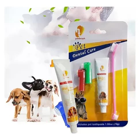 KIT DENTAL 1